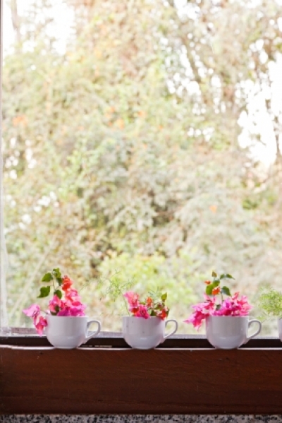 A estação das flores na sua casa