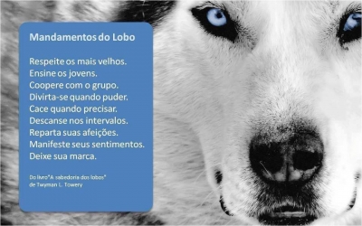 A Sabedoria dos lobos