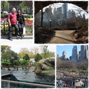 Central Park: vamos passear?