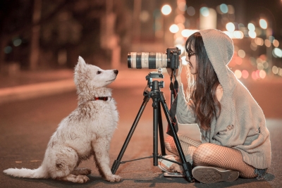 Dicas de fotógrafo para você clicar seu cachorro